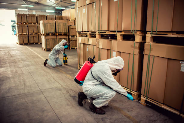 Best Affordable Exterminators  in Corning, NY