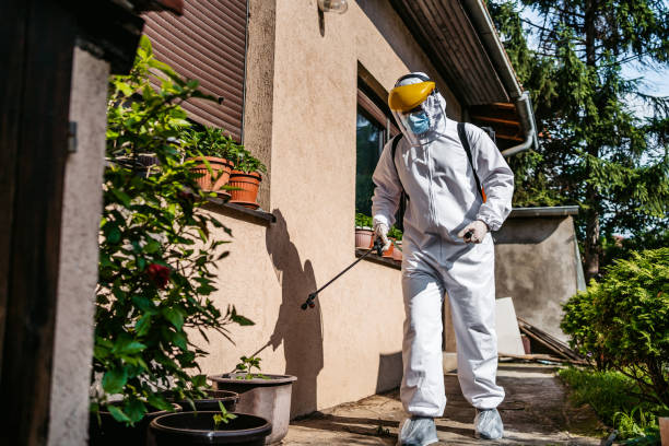 Wasp Removal Services in Corning, NY