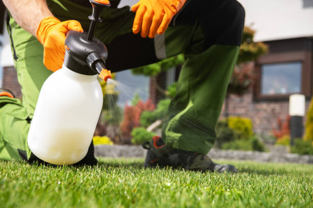 Best Pest Control Near Me in Corning, NY
