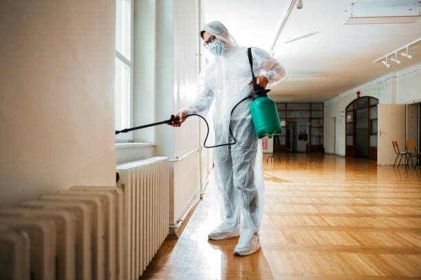Best Affordable Pest Control Services  in Corning, NY